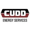 111138_Cudd_Energy_Service